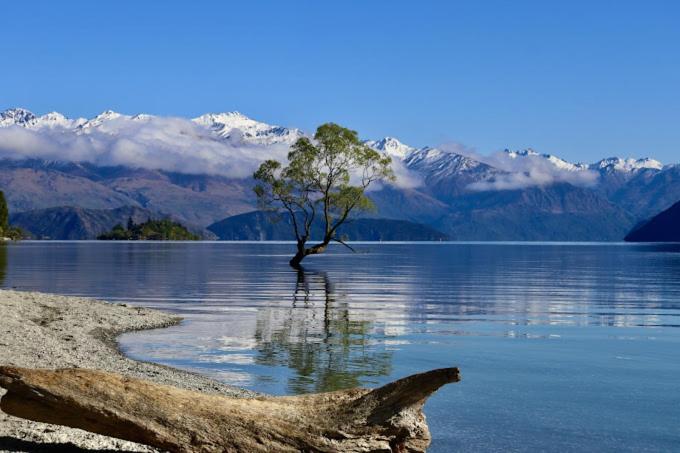 Appartamento The Rest Nest Wanaka Esterno foto
